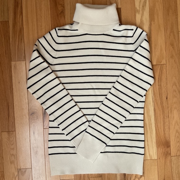 French Connection Sweaters - French Connection Woman’s Fitted Turtleneck Sweater